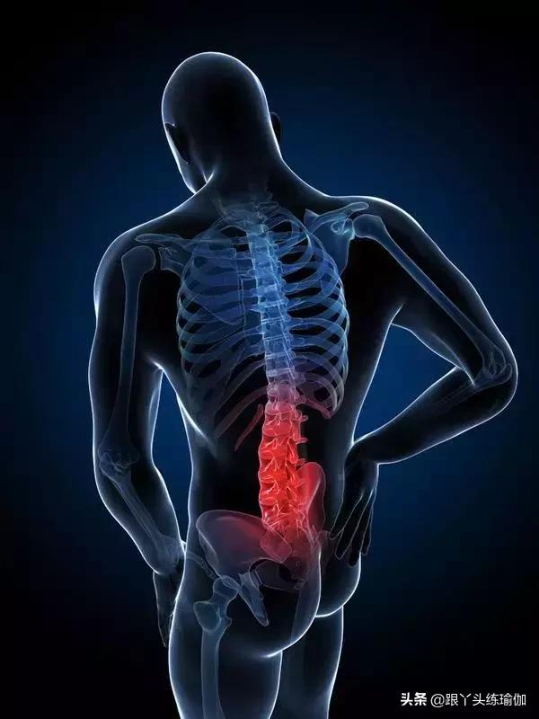 腰椎问题应该做哪种动作,教你一招解决腰椎的问题