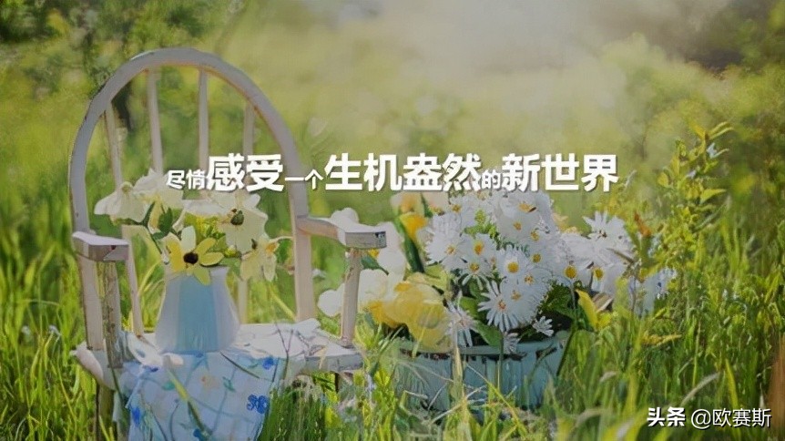 品牌战略*局破**必备的七种*器武**