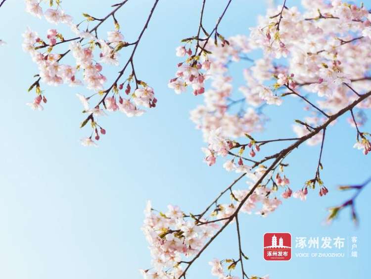 文学风长连衣裙,文学涿州