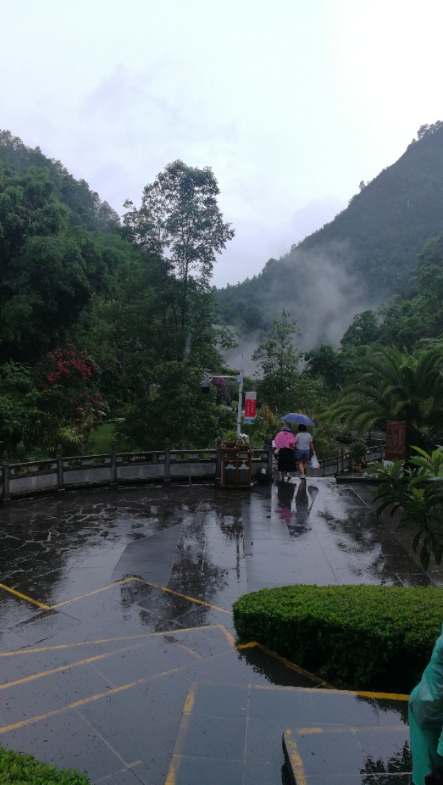 鑵惧啿鐑捣娉℃尽,鑵惧啿鐙竴鏃犱簩鐑捣