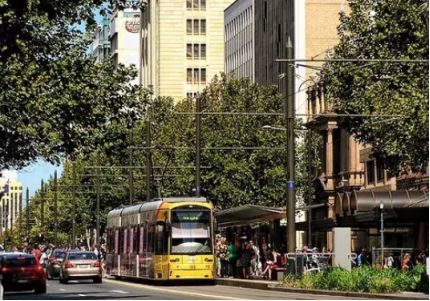 让黄晓明上瘾的南澳大利亚，到底有什么魔力？