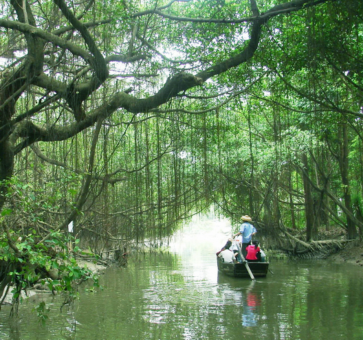 江门碉楼,碉楼之乡江门开平