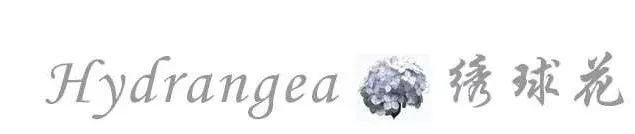 早春最流行的珠宝搭配,什么穿搭可以戴夸张的珠宝