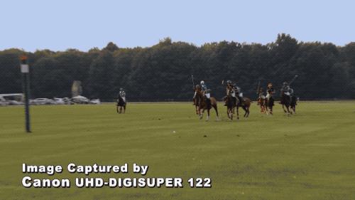 怎么知道网上的视频是不是专业摆拍?