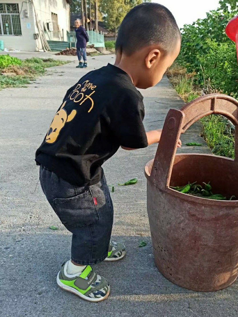 洗衣服的学问教学反思,洗衣服的学问说课