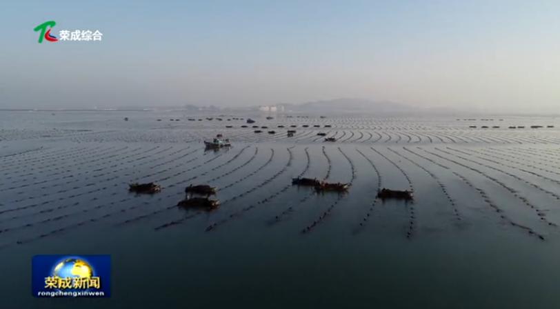 鸿洋神水产科技,威海荣成鸿洋神水产有限公司