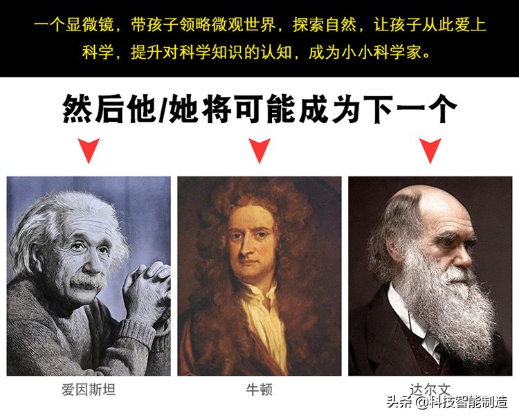 他说自己不是日本匠人，而是和果子艺术家，他做的和果子不忍吃掉