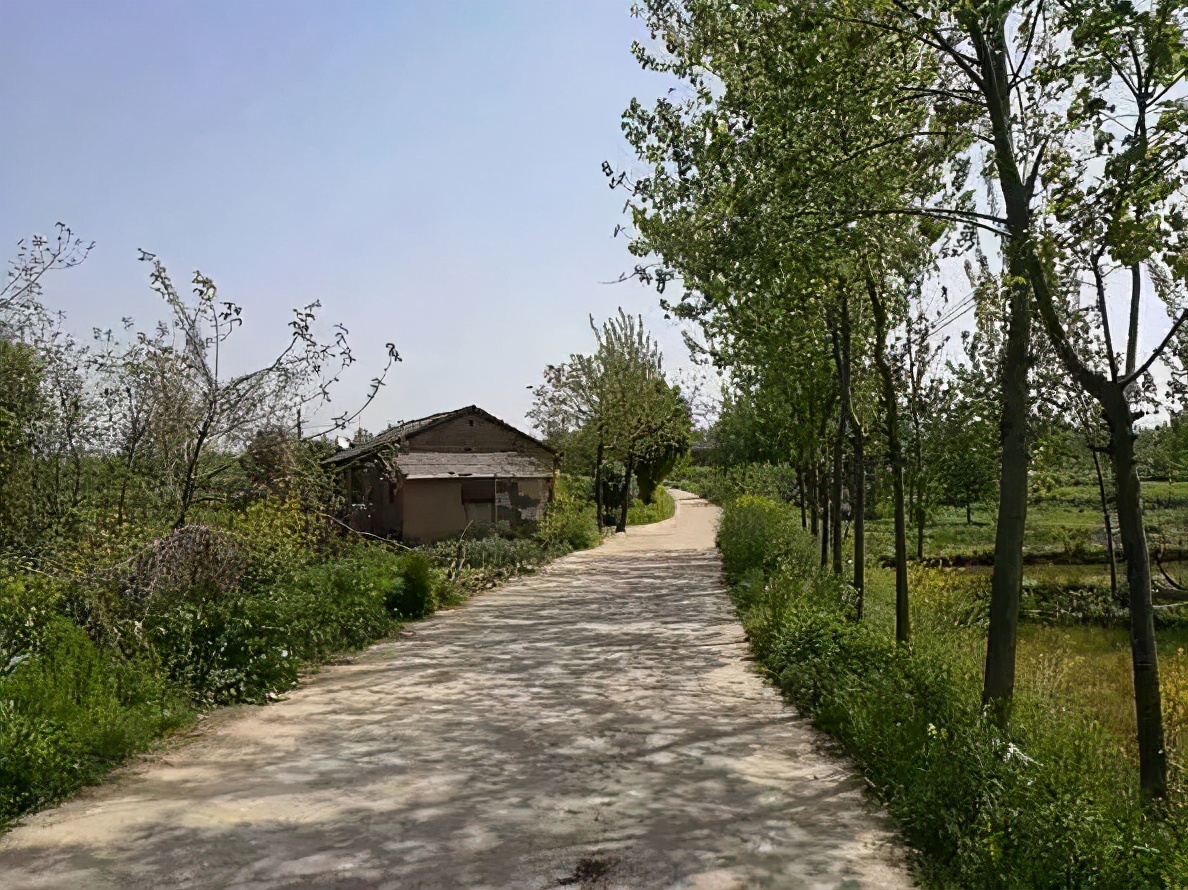 那些研究生是怎样走向崩溃的,那些研究生怎样走向崩溃的