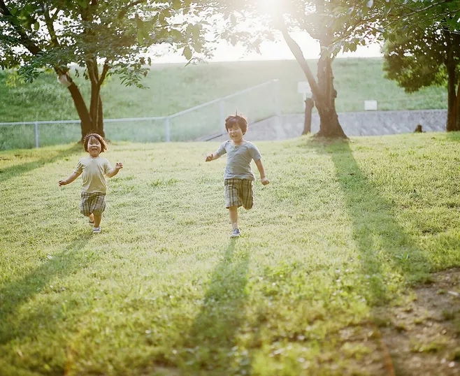 为美好而来漫步园林尽享清新绿意,为美好而来书籍
