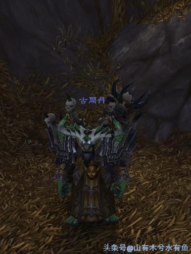 魔兽世界隐藏玩具排行,魔兽世界十大值得买的玩具