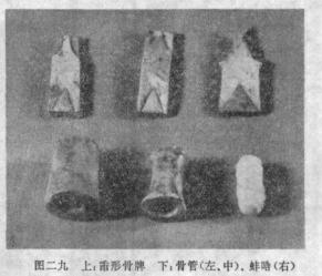 咸阳秦墓发掘全过程,秦墓发掘纪实全集