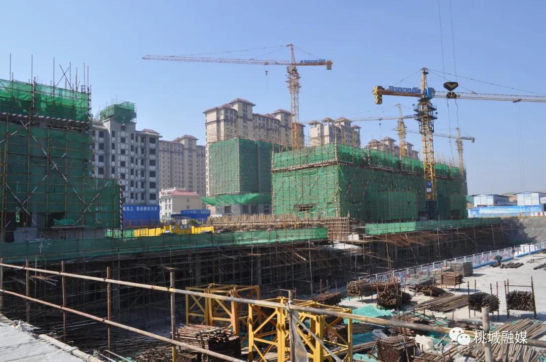 三创四建活动观摩调度,三创三增乡村振兴