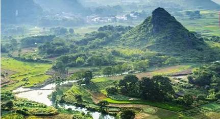 到底什么样的红糖才是好红糖?网上红糖品牌很多,怎么选择?