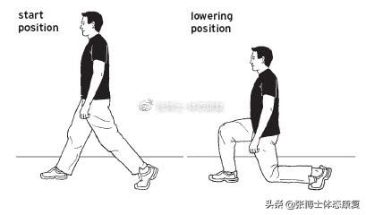 「译文分享」人体侧向子系统与单腿运动的稳定性