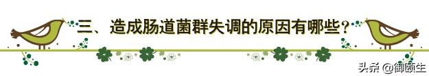 肠道菌群失调最快的调理方法,肠道菌群紊乱如何快速调理
