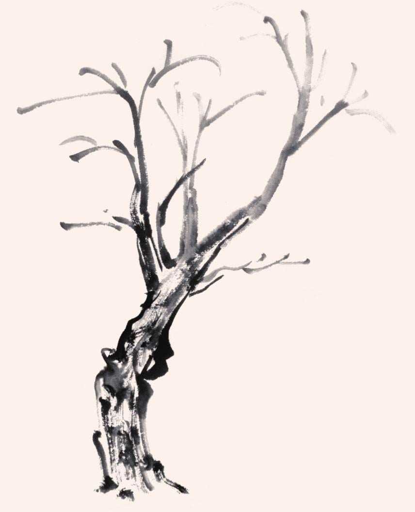 国画画树时的使转用笔方法,国画教程画树入门