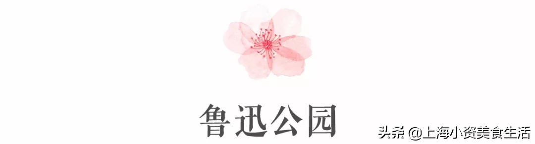 顾村公园一年一度赏樱,顾村公园赏樱点