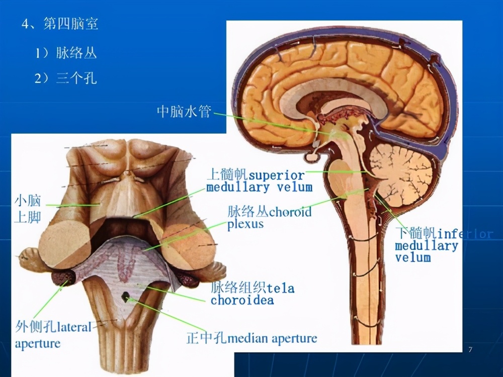 舌下神经受损症状图片,舌下神经损伤后的表现怎么治疗