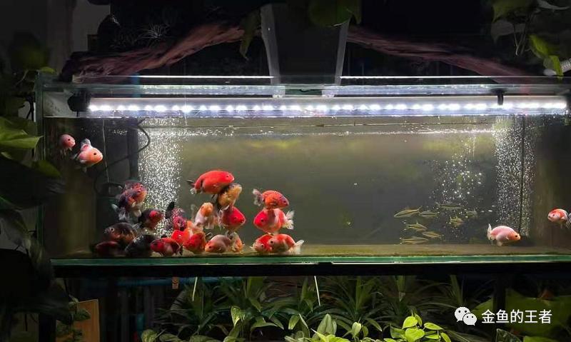 过滤基本操作,上过滤怎么做成最强过滤