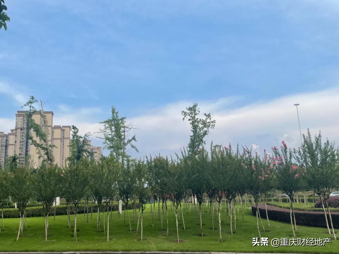 重庆向北,重庆向北与向西