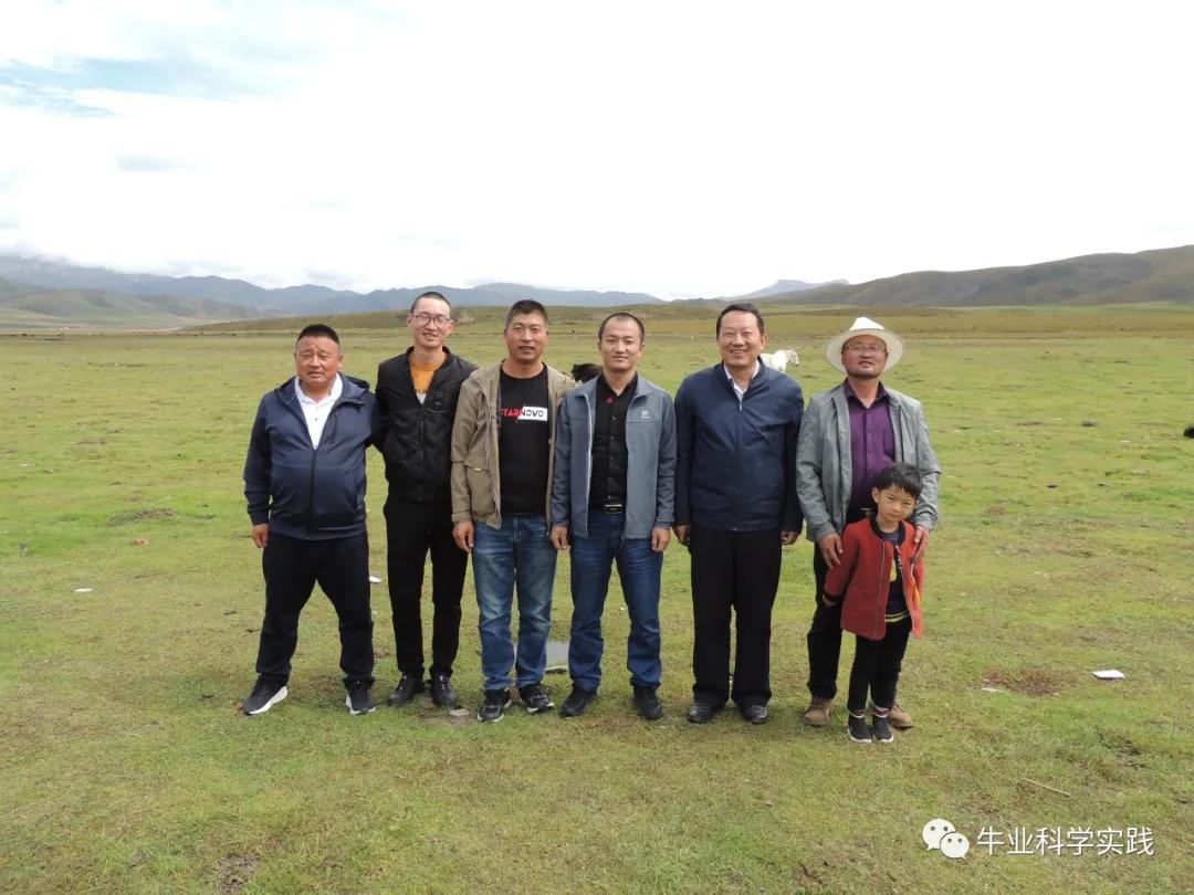 2023肉牛行情分析,2023-2024中国肉牛行情还会下跌吗