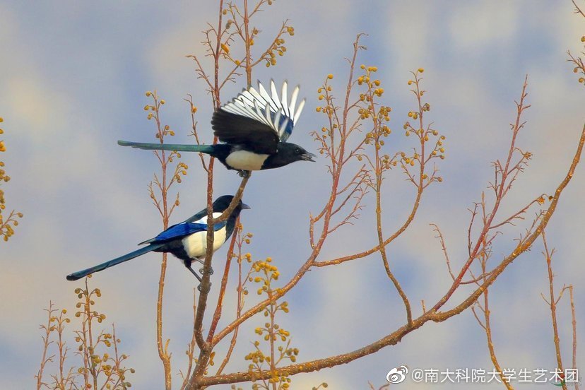 七绝冬日即景二首 (七绝雨后初霁)