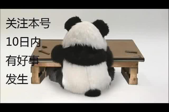 中国杯海报公布！一句振奋人心的宣传口号却蕴含着另一种无奈