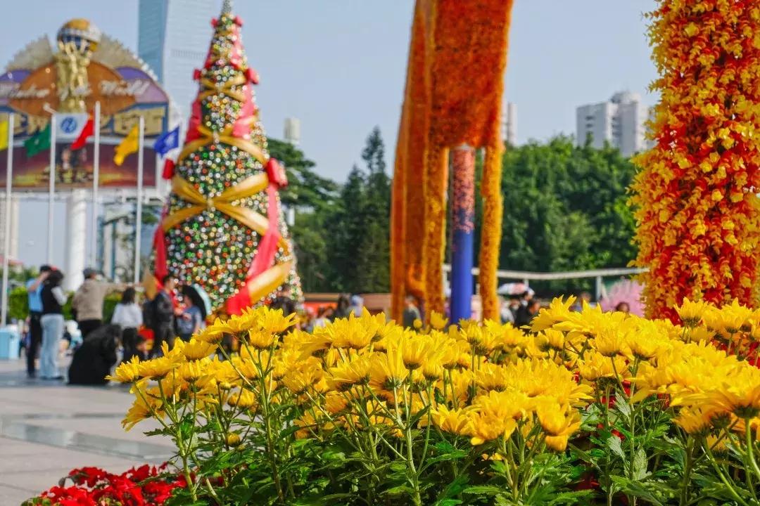 如今的世界之窗,介绍世界之窗