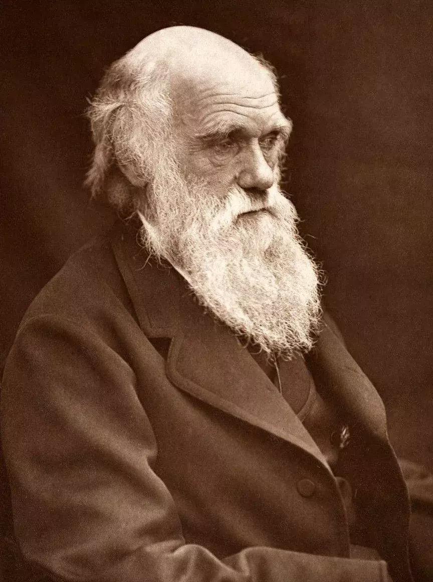 如何才能快乐的度过一生,怎么样才能过上有钱有闲的生活