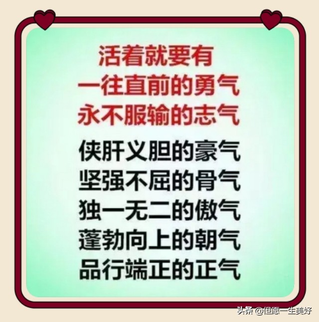 林子大了什么鸟都有正能量,林子大了什么鸟都有凡事别太当真