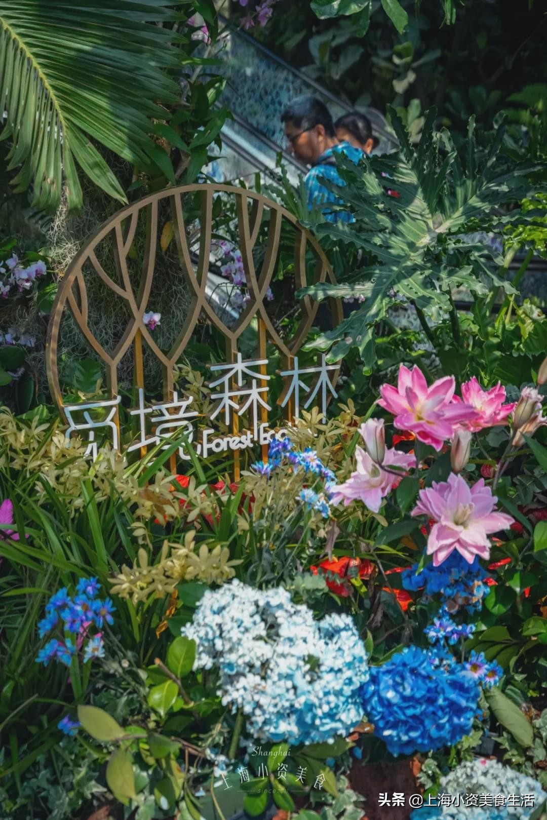 上海最大购物中心南翔印象城,魔都再添80000重磅商业地标