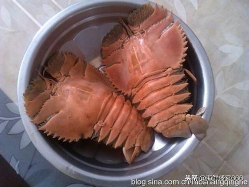 进口日本海产品卖给中国,海产品在中国大陆销售情况