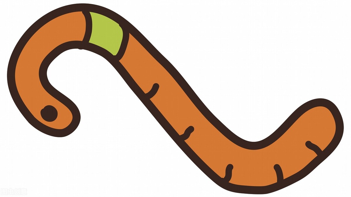 我眼中的蚯蚓作文300字,我眼中的庄子随笔