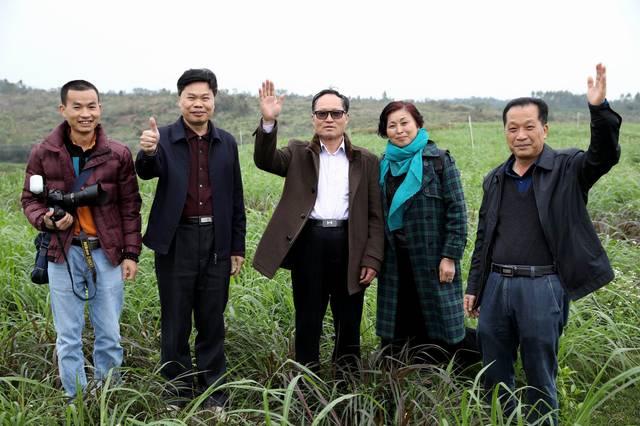 文蕴秀岭，馨怡乐园｜廉江文秀岭农牧场散记