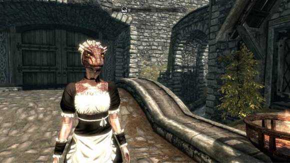 上古卷轴5为什么玩不进去,上古卷轴5为什么叫老滚5