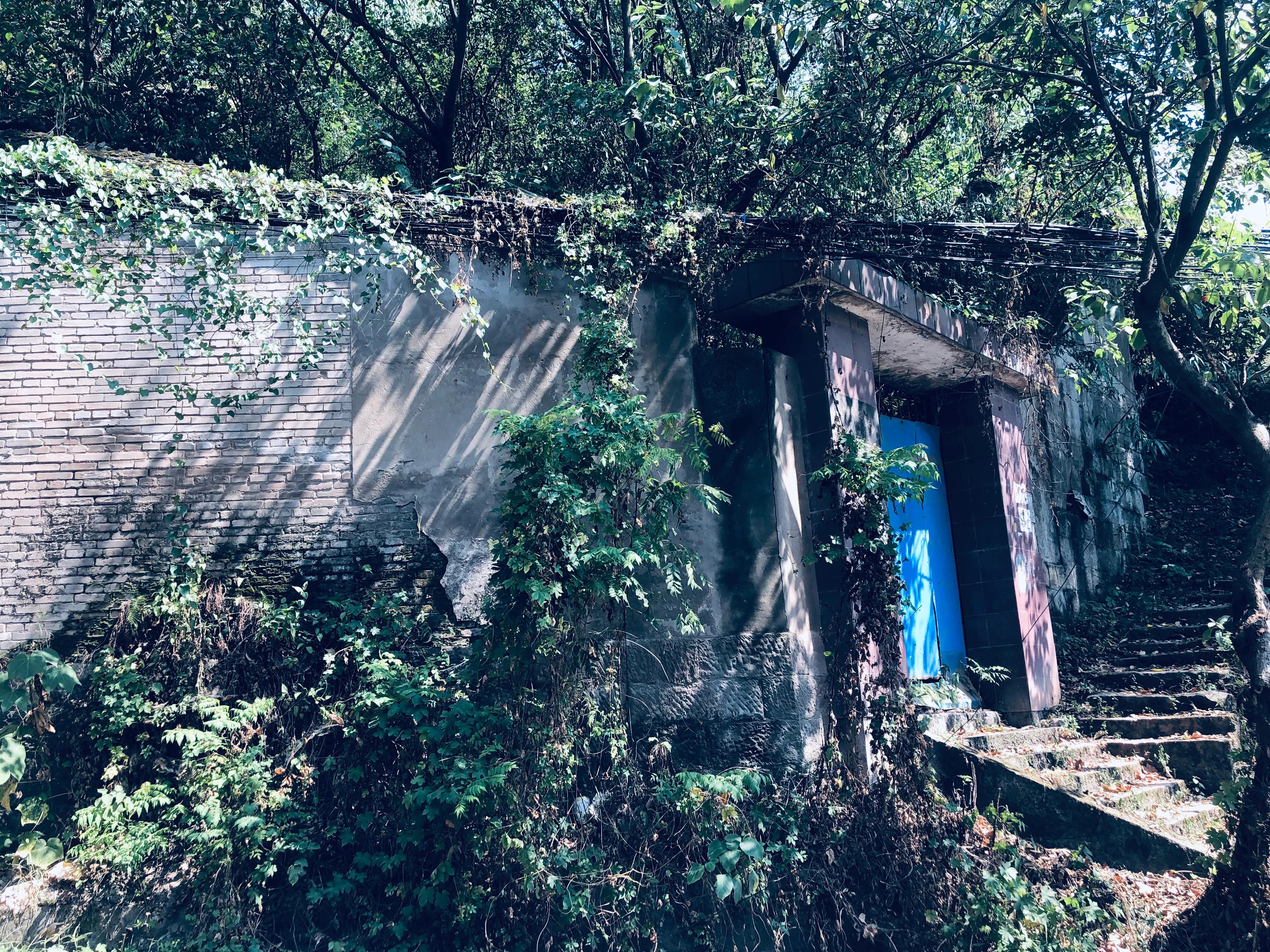 婕閲嶅簡瑙嗛,婕閲嶅簡