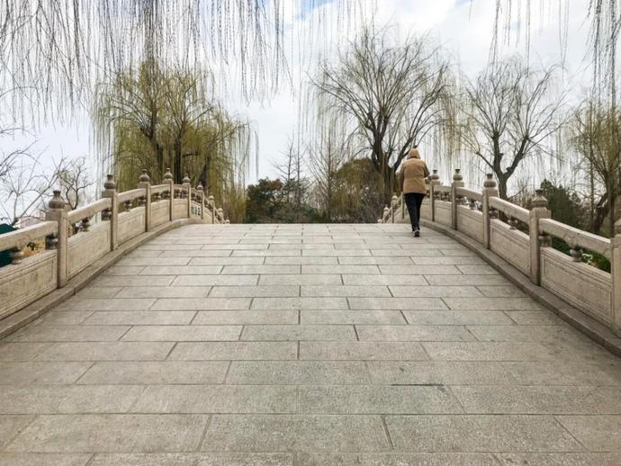 济南天下第一泉风景区开放首日，带你们“云逛”趵突泉、五龙潭……