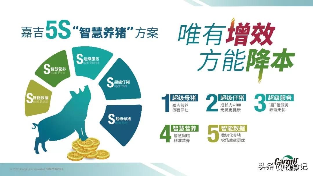 嘉吉动物营养成功案例,嘉吉动物营养最新消息