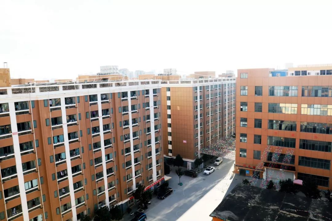 开智教育,开智教育亚太校区