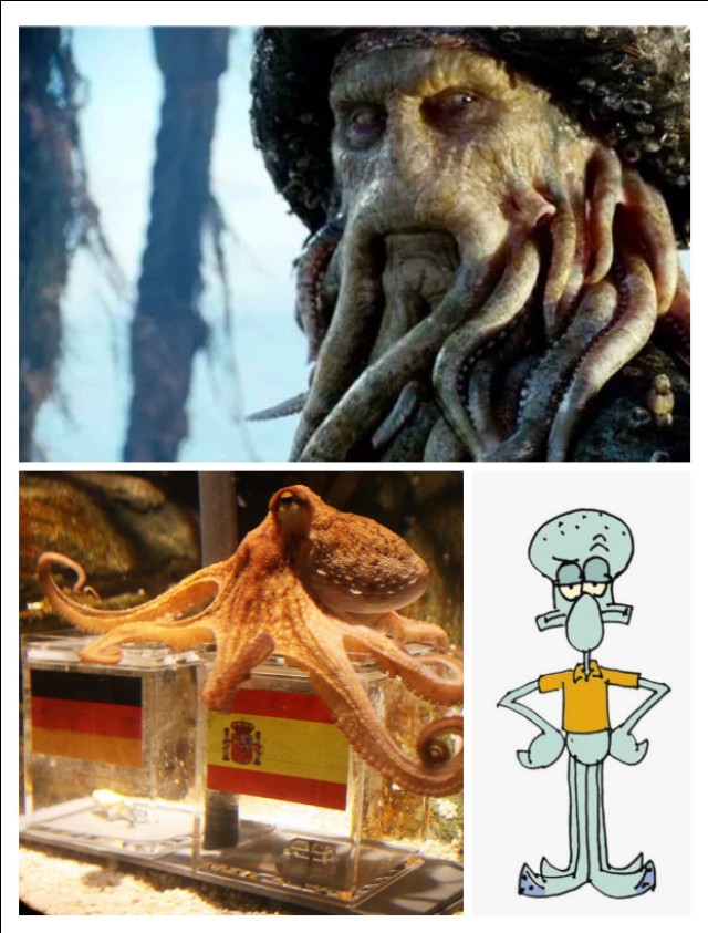 章鱼墨鱼鱿鱼区别,章鱼墨鱼鱿鱼哪个营养更高