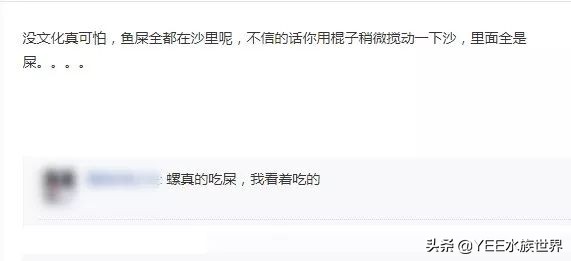 鱼缸过滤长螺怎么处理,鱼缸爆藻用什么过滤好