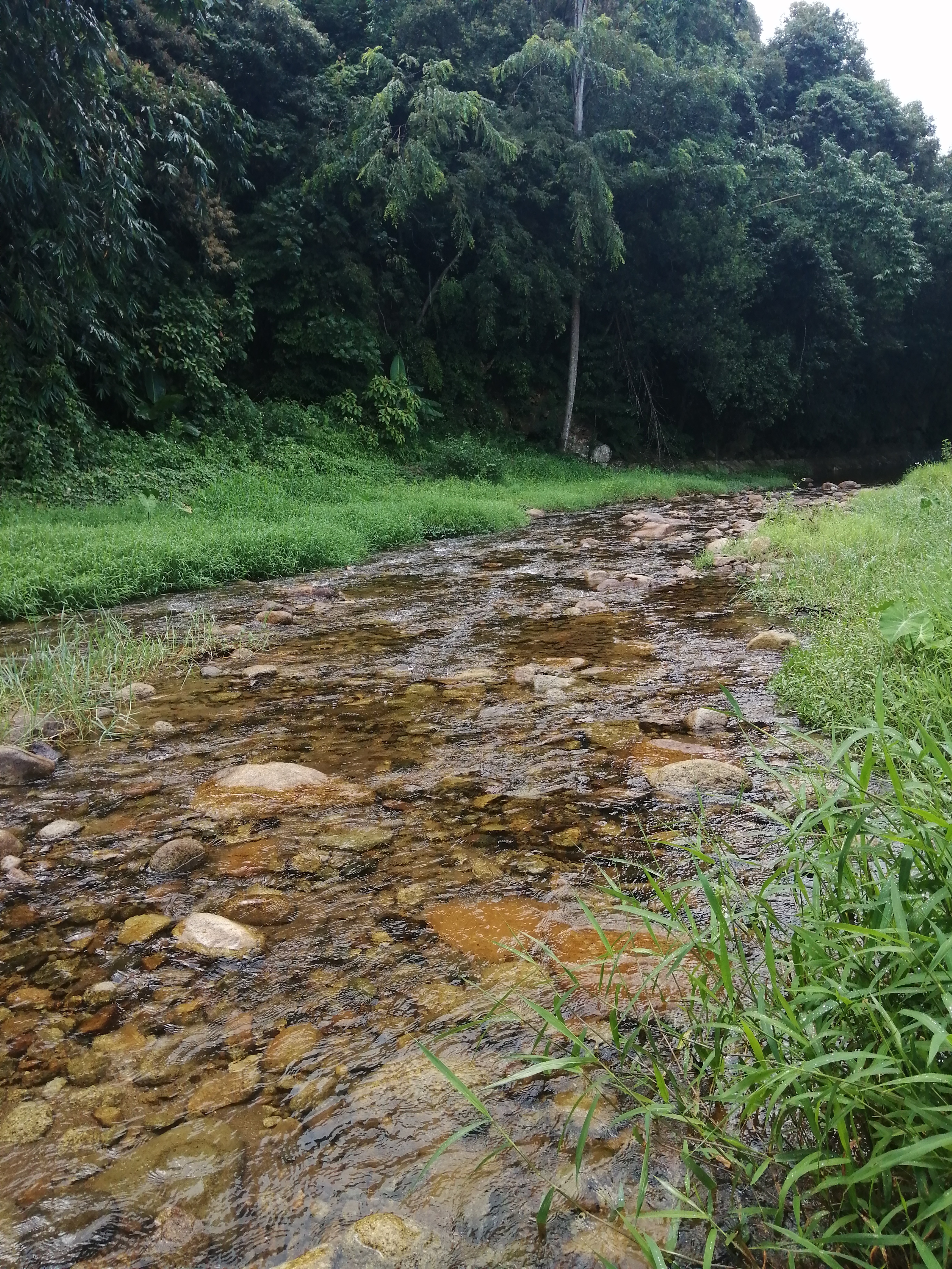 惠州罗浮山酥醪景区天然氧吧,罗浮山酥醪村天然氧吧民宿