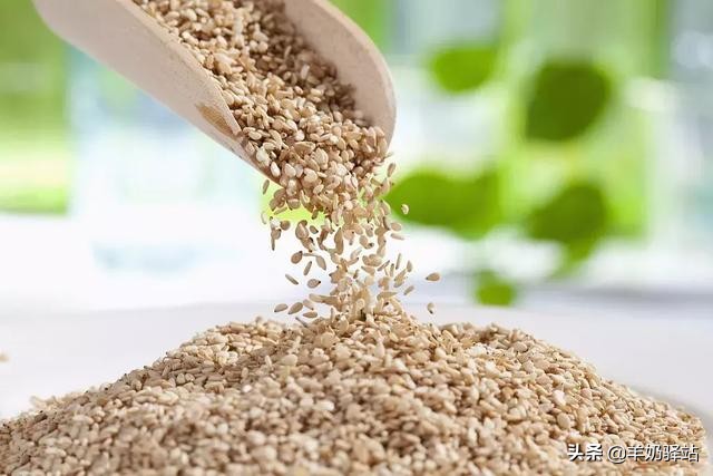 五谷杂粮蛋有什么营养价值,五谷杂粮大米饭的营养价值