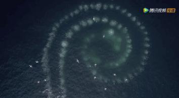 炸裂9.9,BBC再出神片,美得让人脸红