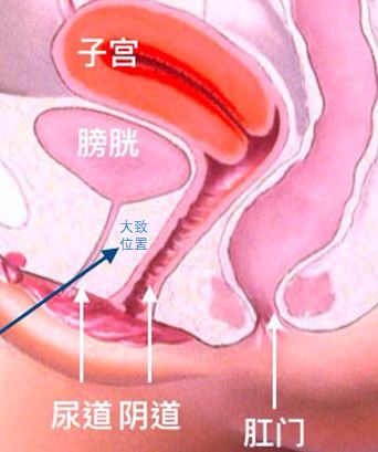 男人一天运动两次,男人一天两次运动