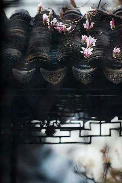 身为华夏子孙,百家姓的故事你不得不知