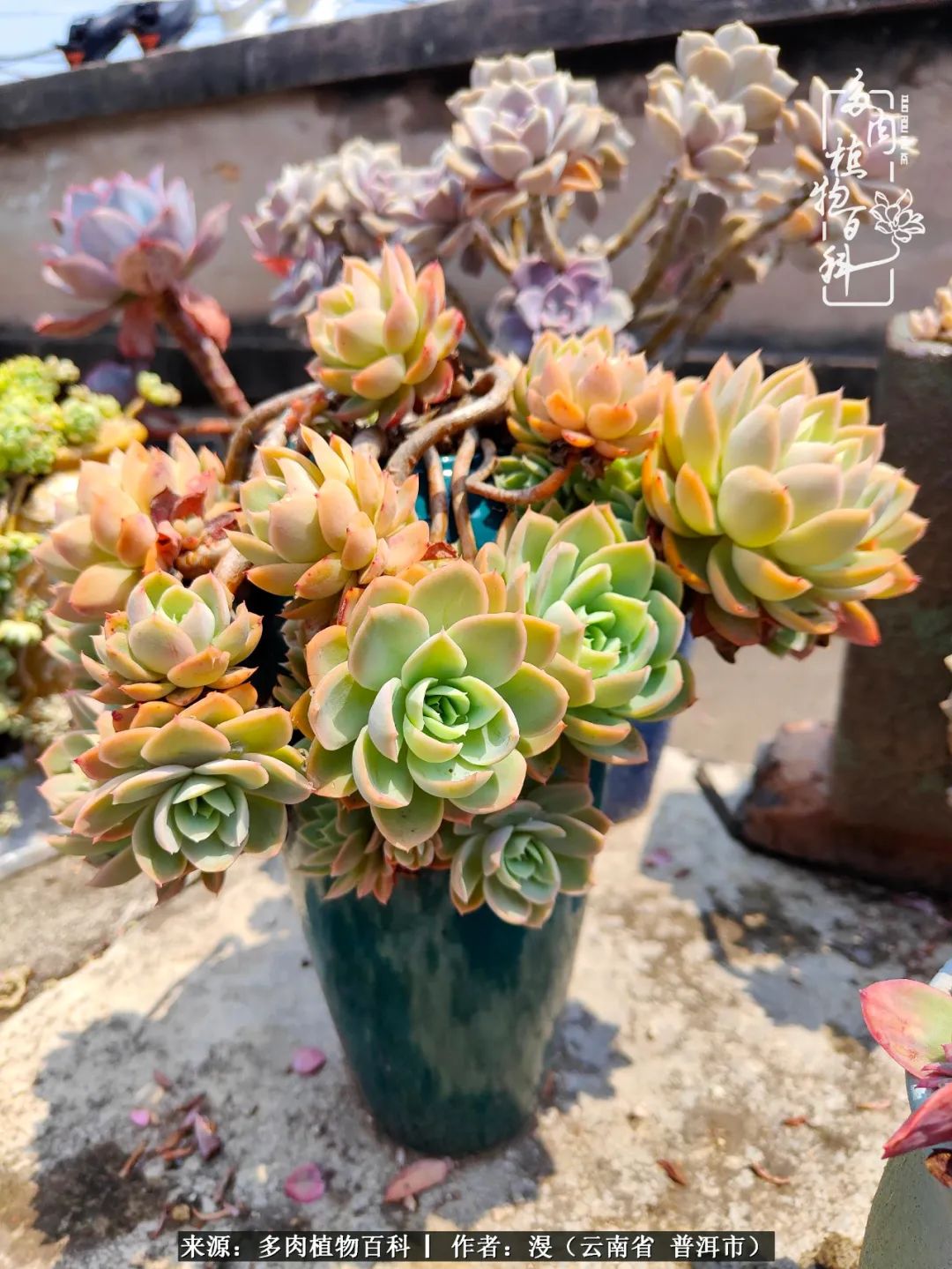 风过留痕讲的啥,风过留痕朗诵