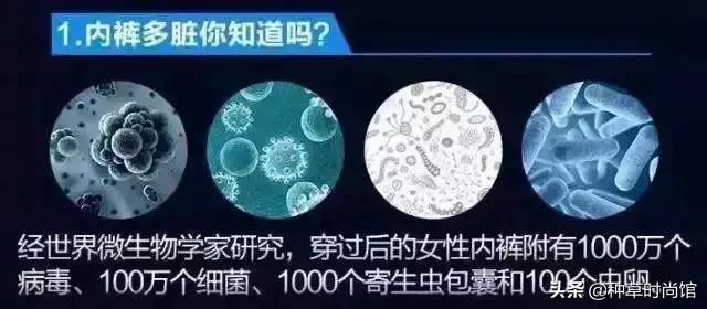 裤上黄黄的还有异味是怎么回事,裤内有淡黄分泌物无异味