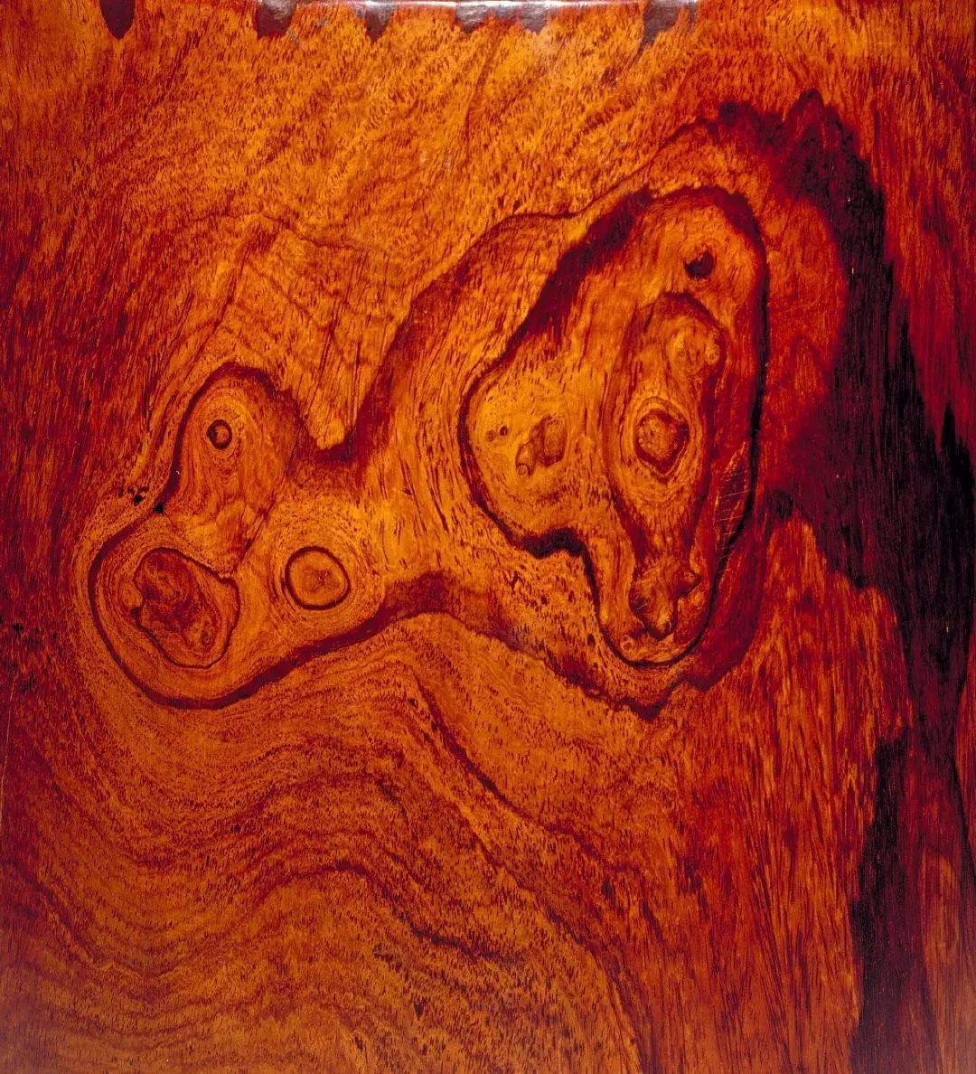 从用材差异，看中国人的财产观