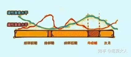 长姨妈痘怎么调理内分泌,来姨妈前脸上长痘什么原因